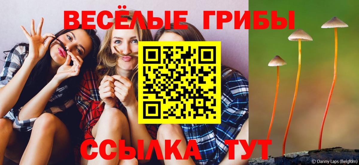 Куйбышев  Галлюциногенные грибы Psilocybe  Вход с VPN  Псилоцибиновые грибы мицелий 